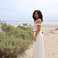Pheonix Skirt